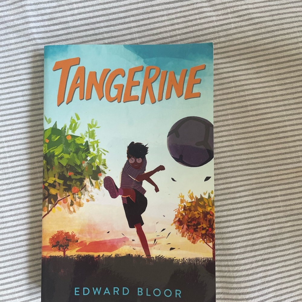 Scholastic 'Tangerine' Coffee Table Book